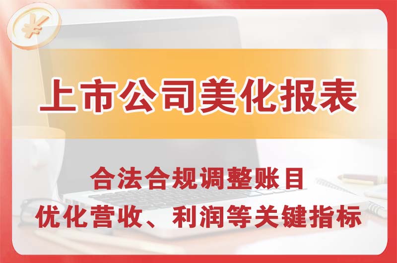 嘉善上市公司美化报表